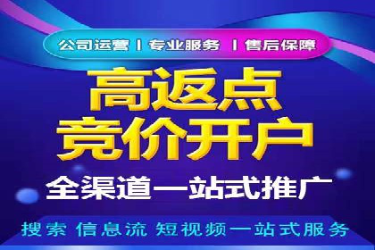 竞价排名与自然排名的对比案例